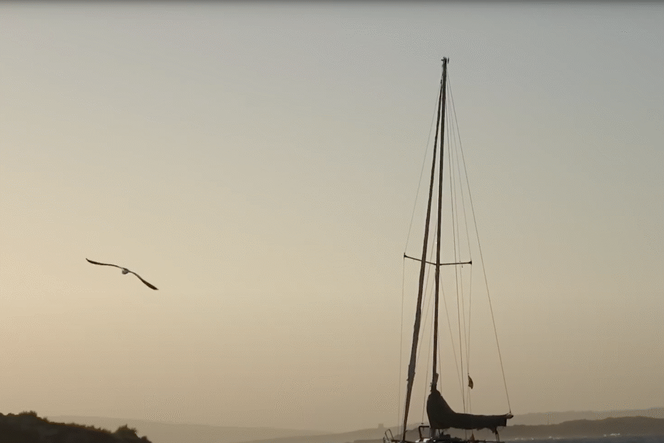 sailing